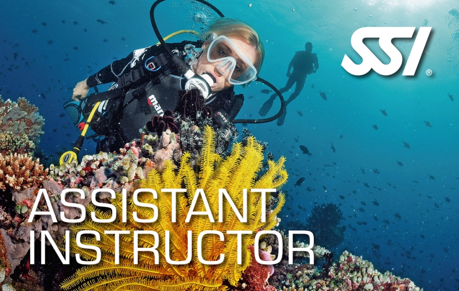 assistent_instructor